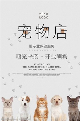 简约风中宠物店的视觉叙事与素材建议