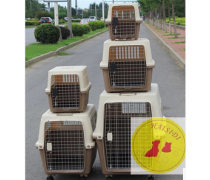 从铲屎官到选品官 你需要的宠物产品智库全解析